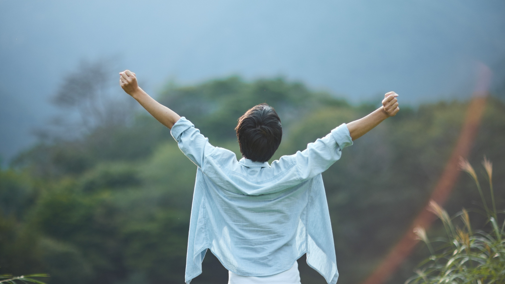 How Nature Can Support Emotional Recovery: Harnessing the Healing Power of the Natural World